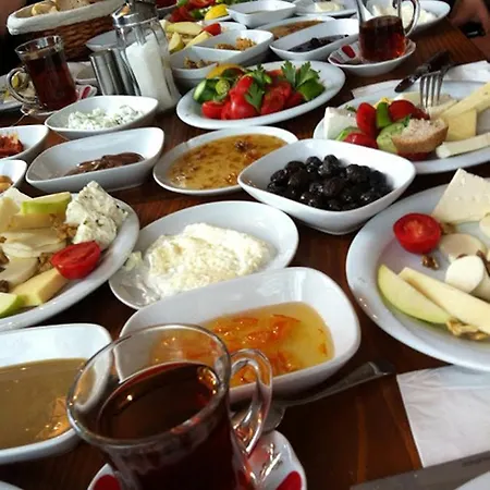 Bahaus Vandrerhjem *